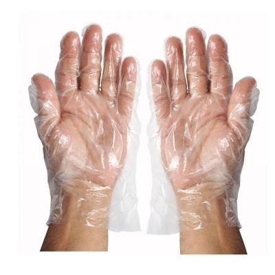 Disposable Clear Plastic Gloves